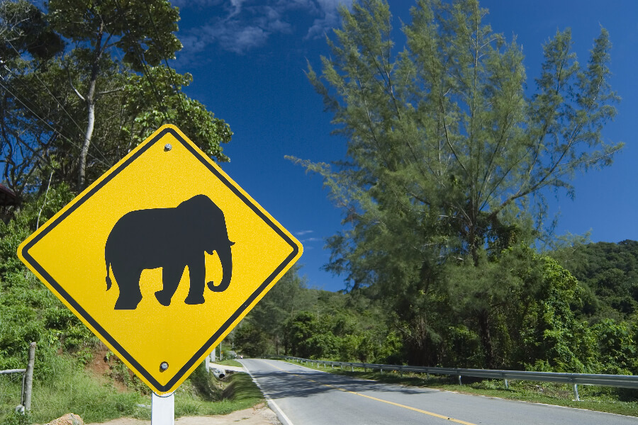 Blog -Thailand - Verkeersborden olifant weg - Weekendtrip naar Khao Yai