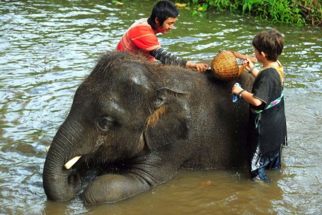 Thailand - Wandelen, olifanten en raften