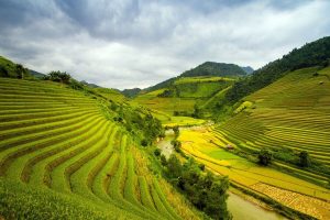 Vietnam - Sapa - Rijstterrassen - Verbazend Vietnam Highlights Rondreis