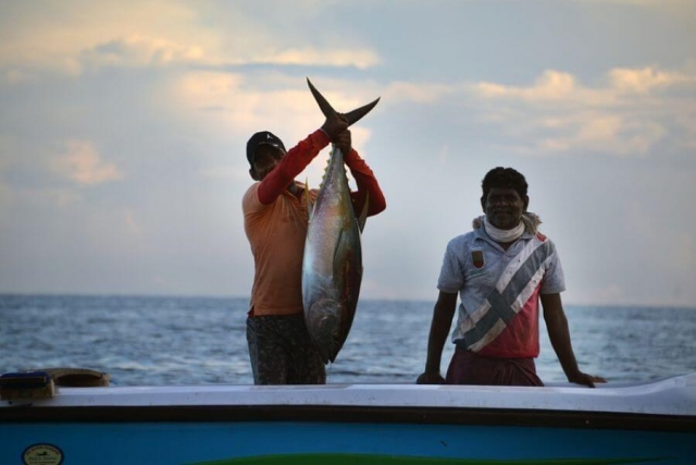 Sri Lanka - Grote vangst vis zee vissers - 025