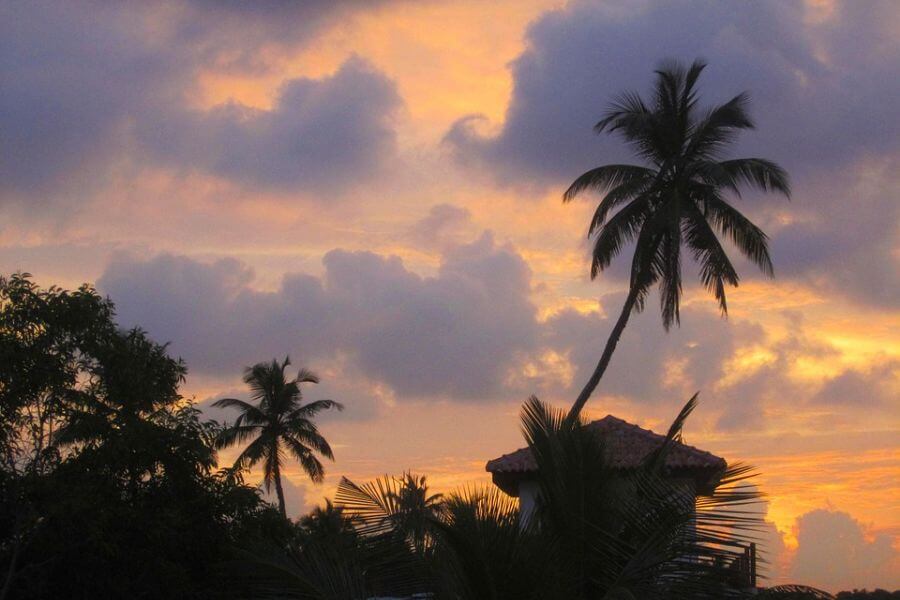 Sri Lanka - Strand ondergaande zon palmboom - 047