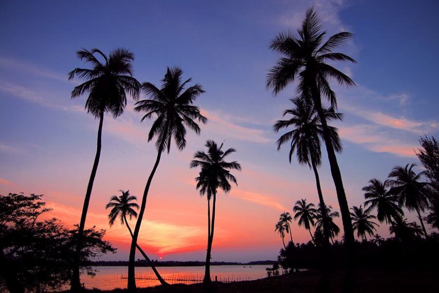 Sri Lanka -Strand palmbomen ondergaande zon - 034