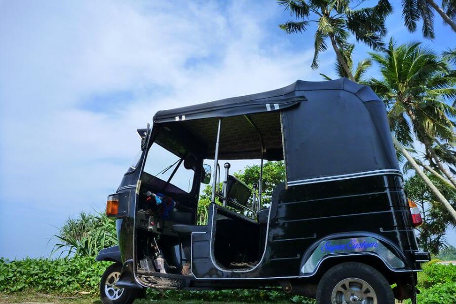 Sri Lanka - Tuktuk palmboom - 015