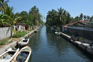 Sri Lanka - Dutch Canal Negombo - 01