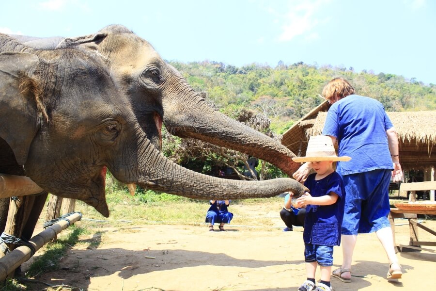 Thailand - Chiang Mai - Eco Elephant Care - 03