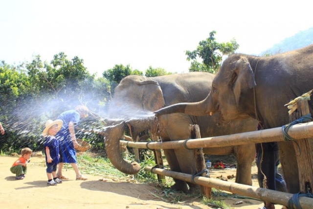 Thailand - Chiang Mai - Eco Elephant Care - 04