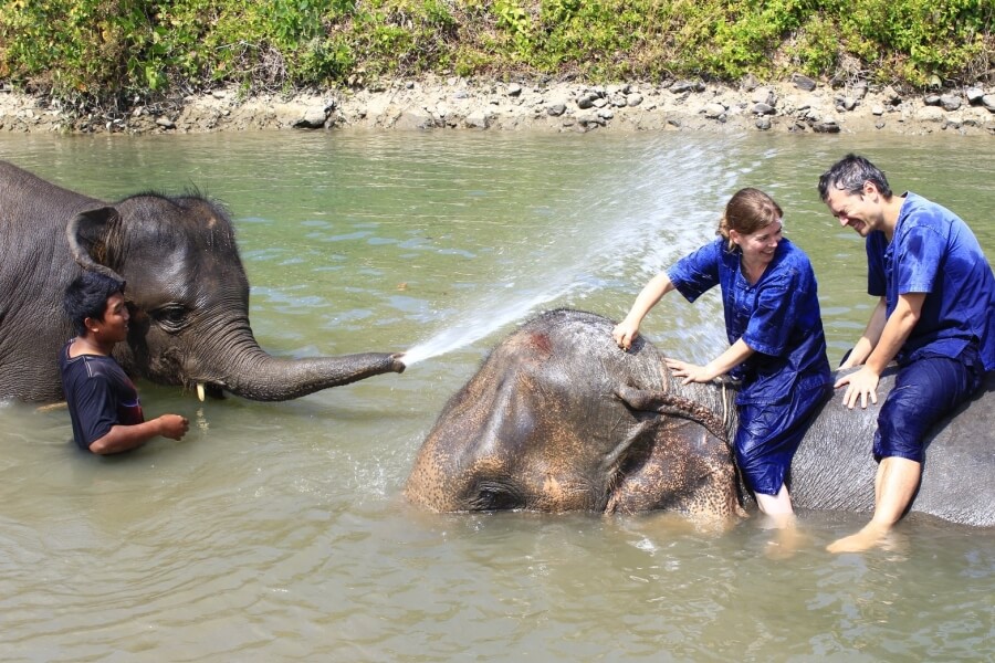 Thailand - Chiang Mai - Eco Elephant Care - 07