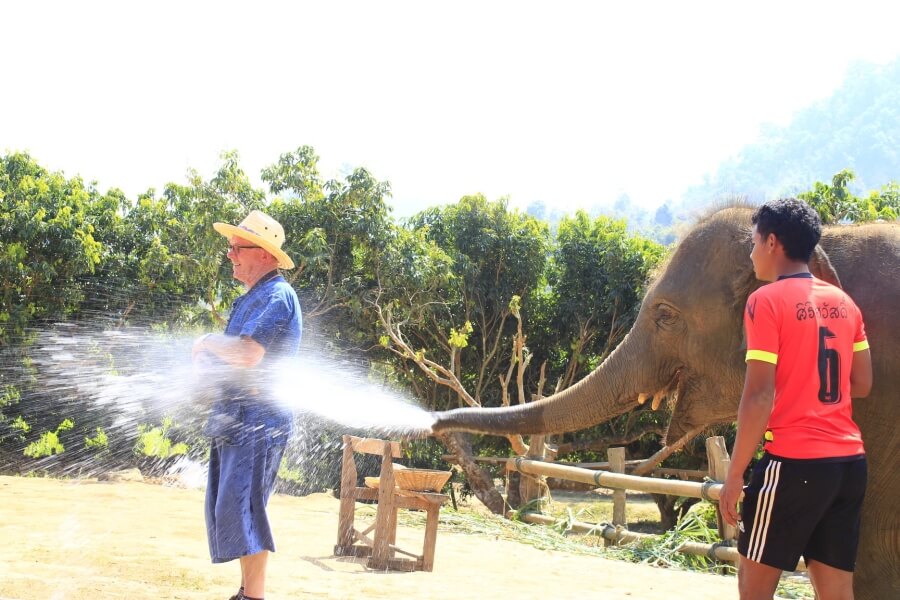 Thailand - Chiang Mai - Eco Elephant Care - 08
