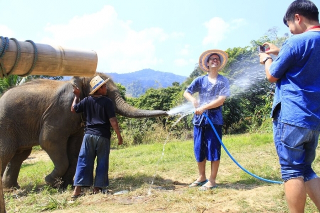 Thailand - Chiang Mai - Olifanten trainer voor 1 dag - 01