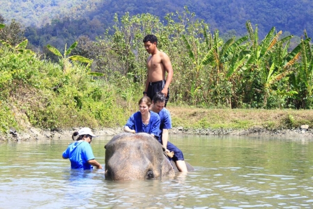Thailand - Chiang Mai - Olifanten trainer voor 1 dag - 07
