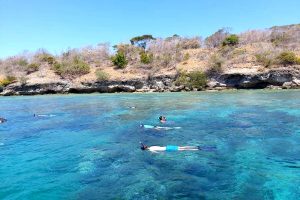 Indonesie Bali Pemuteran snorkelen Menjangan 02