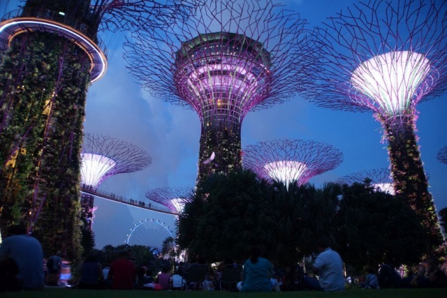Singapore - Gardens by the Bay - 01