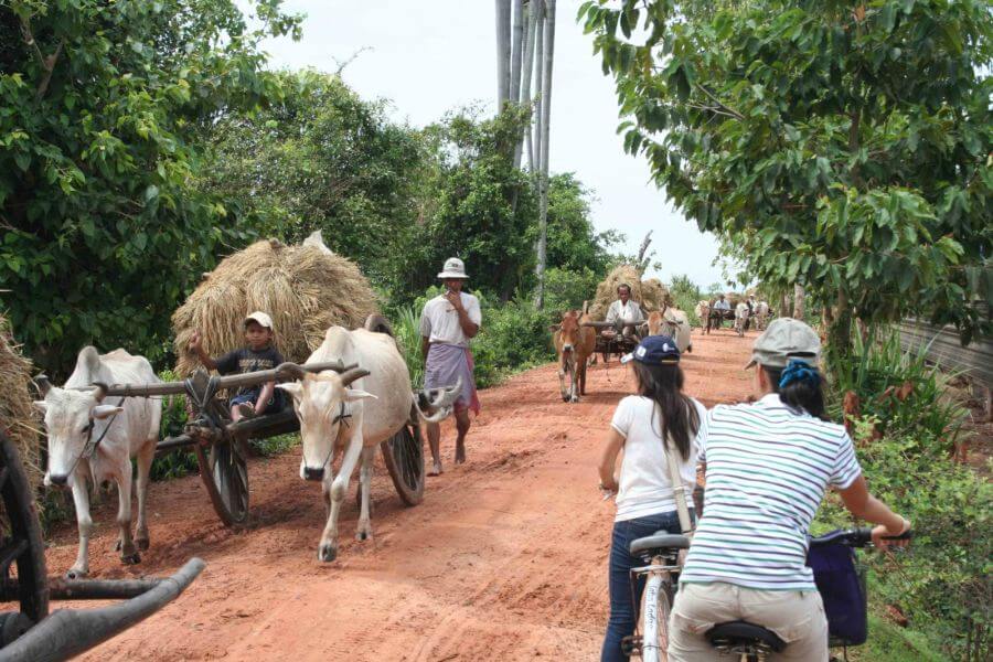Fietstocht Platteland Cambodja Ossekar Lokaal Leven Onverharde weg