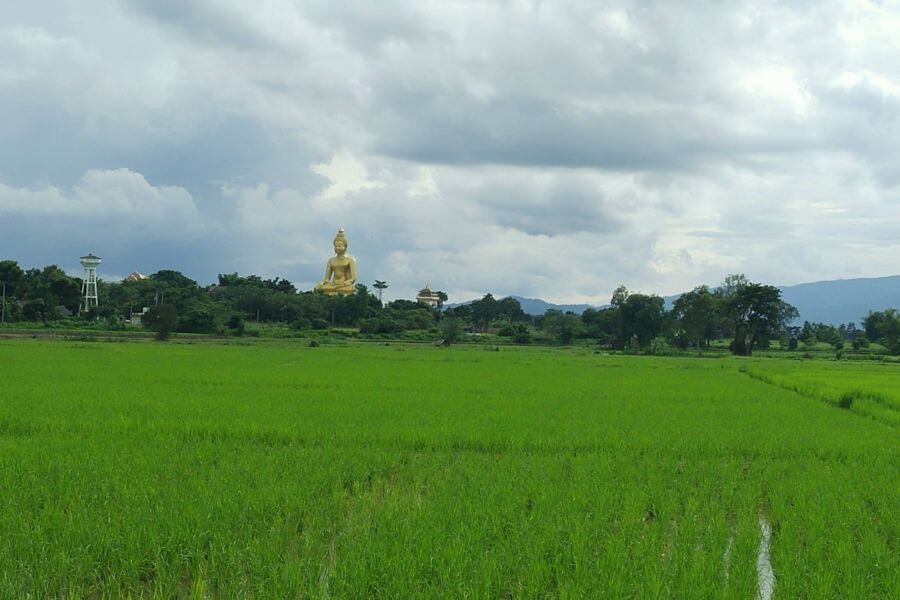 Thailand - Chiang Mai - Gouden driehoek fietstour - 03