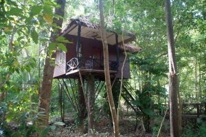 Thailand - Khao Sok Paradise - Standard Tree House 02