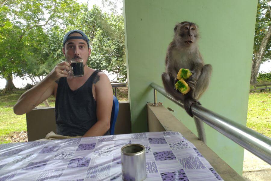 Maleisie - Nick met aap