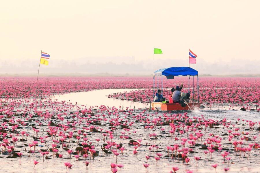 Thailand Nong Harn bloemenzee