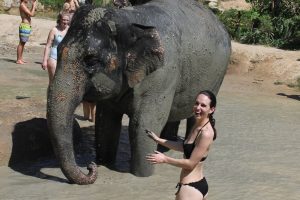 Thailand Phuket Elephant Jungle Sanctuary olifanten wassen