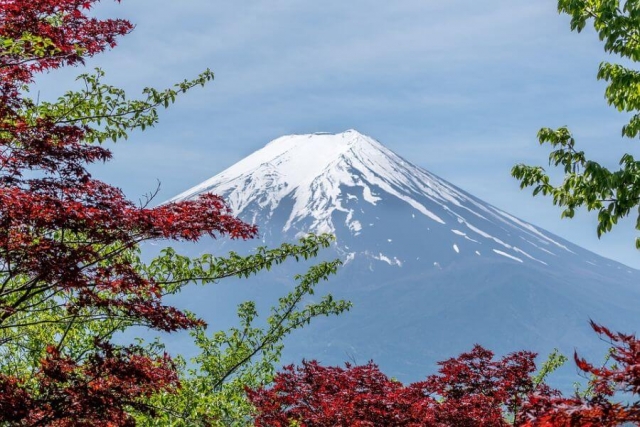 Japan Mt Fuji herfstkleuren