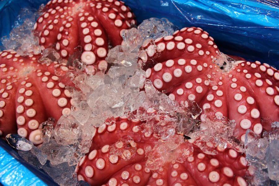 Japan Tokio Tsukiji vismarkt octopus