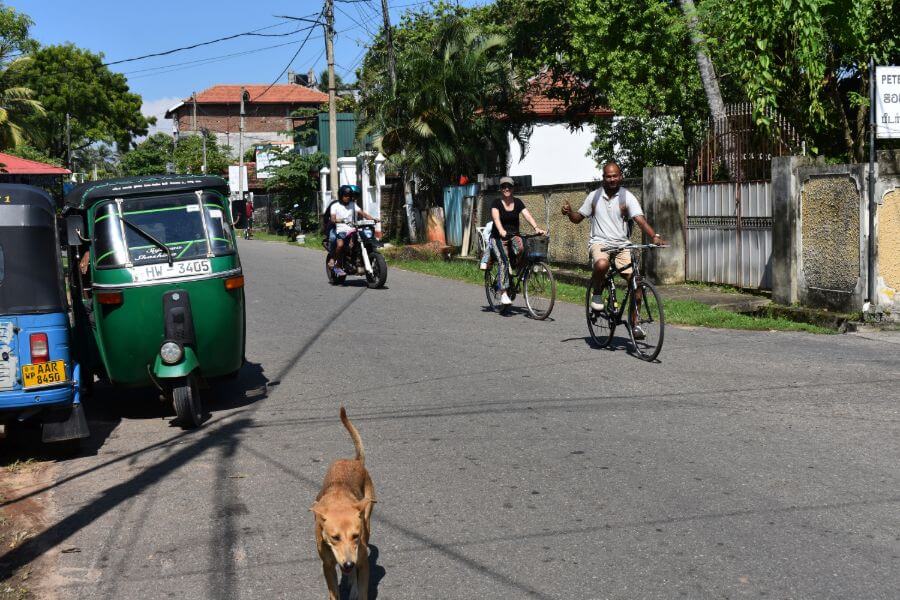 Sri Lanka Negombo fietstour