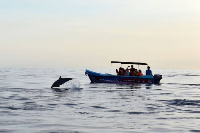 Sri Lanka Trincomalee dolfijnen