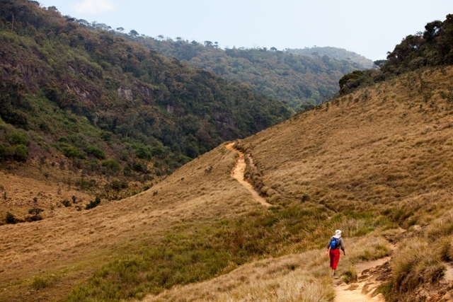Sri Lanka Horton Plains Eenzame hiker