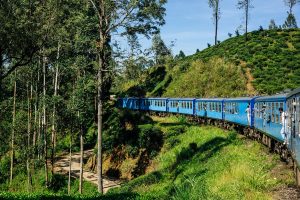Sri Lanka Nuwara Eliya Ella Kandy trein