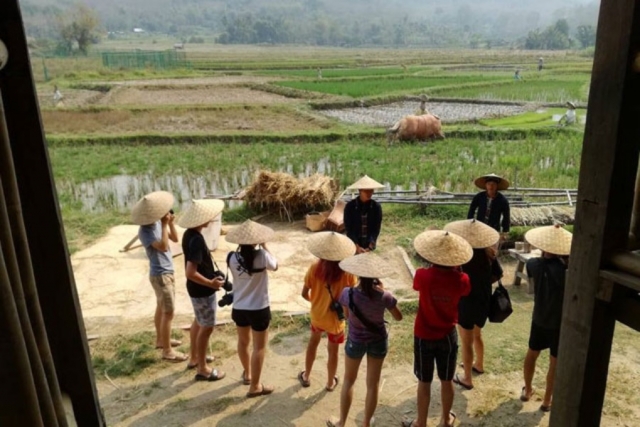 Laos Luang Prabang Living Land Farm 1