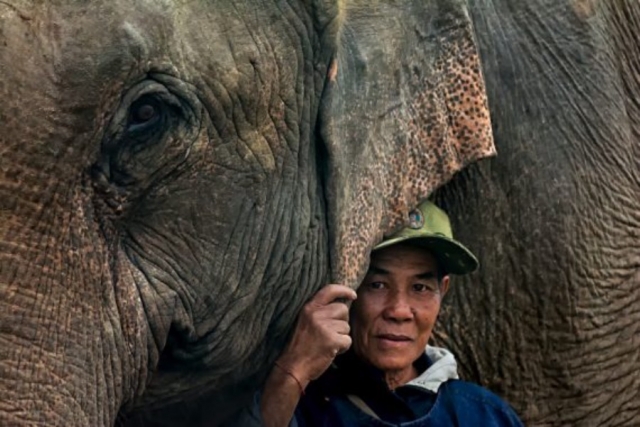 Laos Luang Prabang Mandalao elephant conservation 5